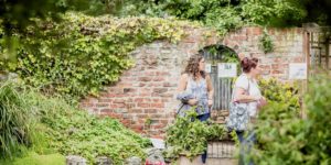Avenues Open Gardens
