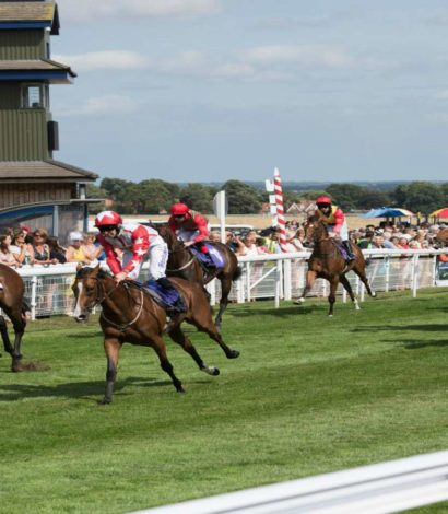 Beverley Racecourse