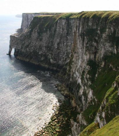 RSPB Bempton Cliffs