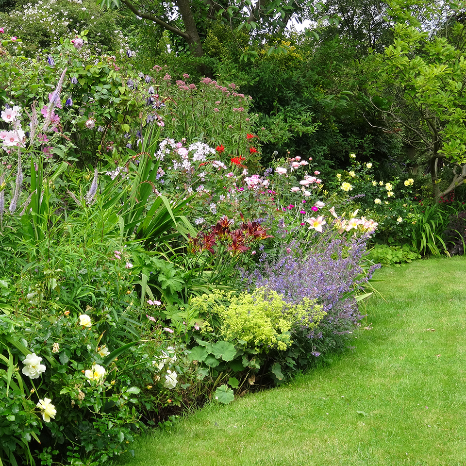 Avenues Open Gardens