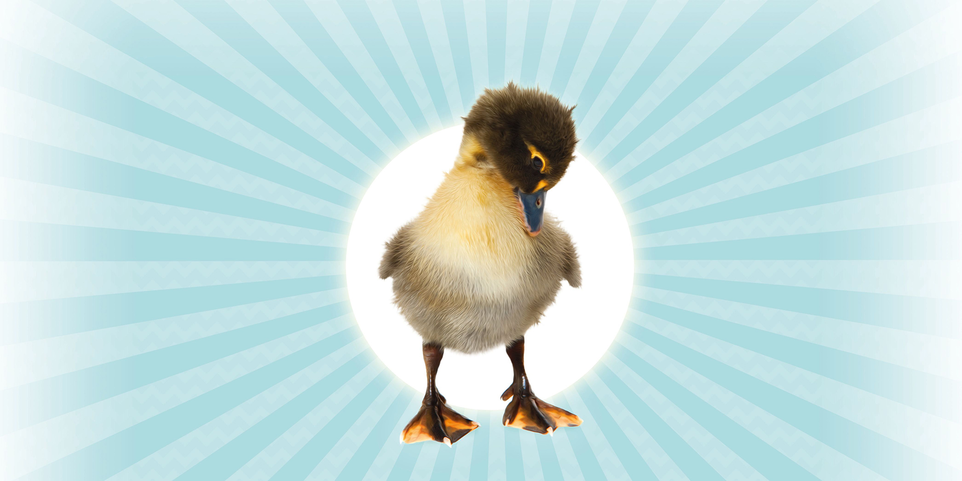 Northern Ballet: Ugly Duckling