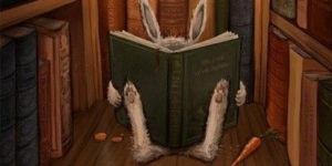 Story Time with Mr Rabbit