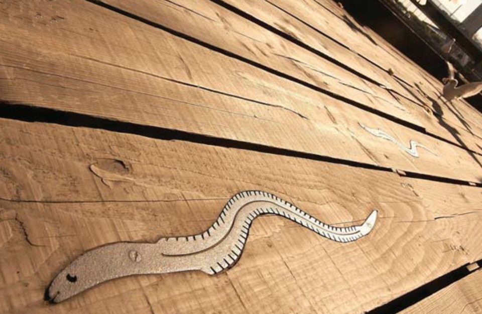 Hull Fish Trail