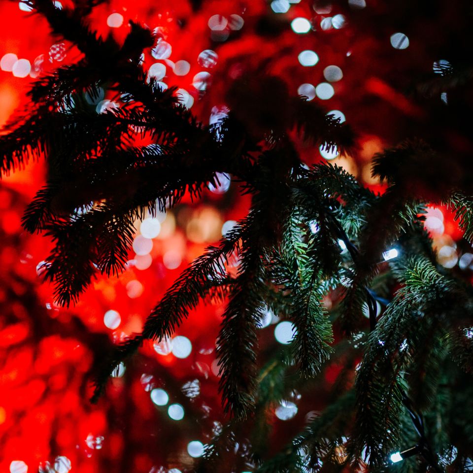 » Hull Christmas Light Switch On