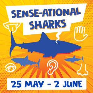 Sense-ational Sharks