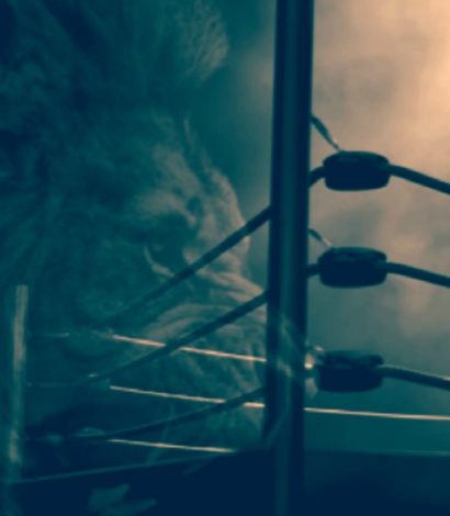 HOMECOMING: A Night of Professional Boxing