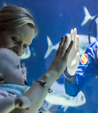 Diver and baby at The Deep