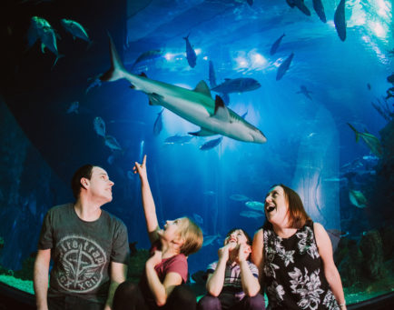 Family at The Deep
