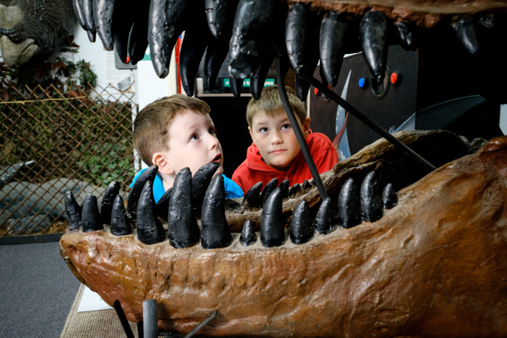 Dinostar © Neil Holmes 2 children viewing an open mouthed T-Rex skull at Hulls Dinostar Museum