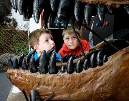 Dinostar © Neil Holmes