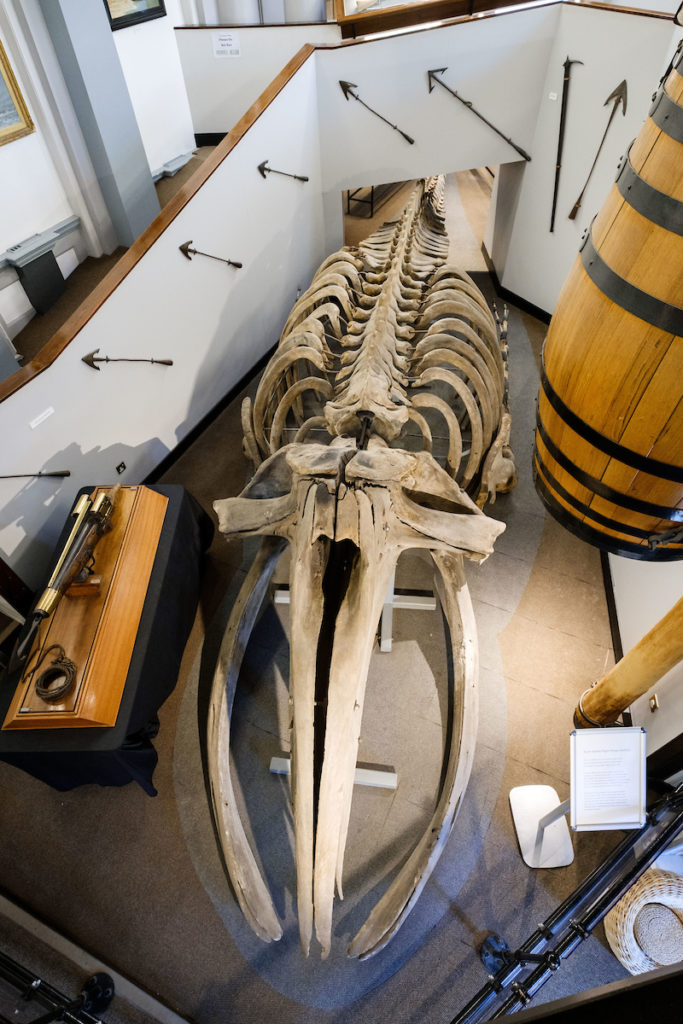 Maritime Museum © Neil Holmes