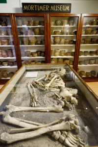 East Riding Museum © Neil Holmes