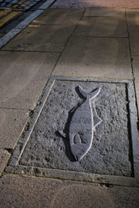 The Fish Trail © Neil Holmes