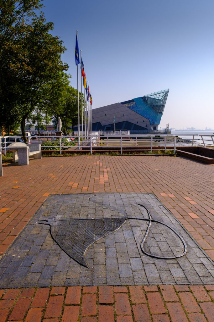 Large carving of a Ray fish on dark brick, surrounded by red brick paving. Flags and the Deep on the background