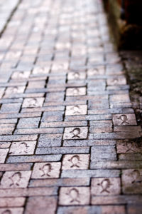 The Fish Trail © Neil Holmes