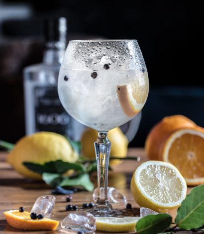 Gin To My Tonic Festival