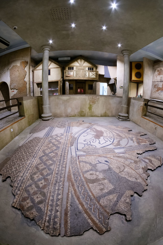 Intricate Roman mosaics displayed within Hull and East Riding Museum. The detailed patterns and scenes, made from small, colored tiles, depict mythological figures and geometric designs, showcasing the artistry of ancient craftsmanship.