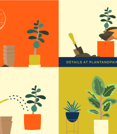 Repotting Party – Plant & Paint