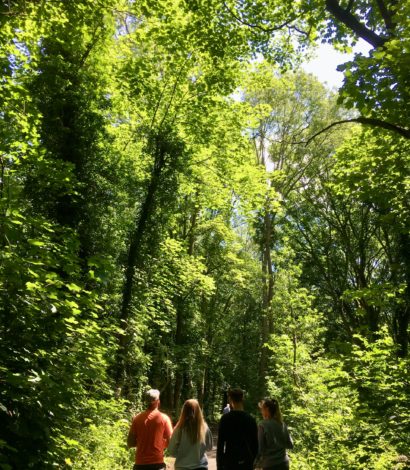 Hull Scenic and Urban Circular Walking Routes