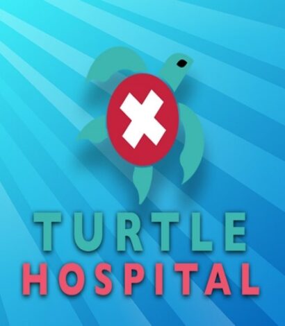 The Deep – Turtle Hospital