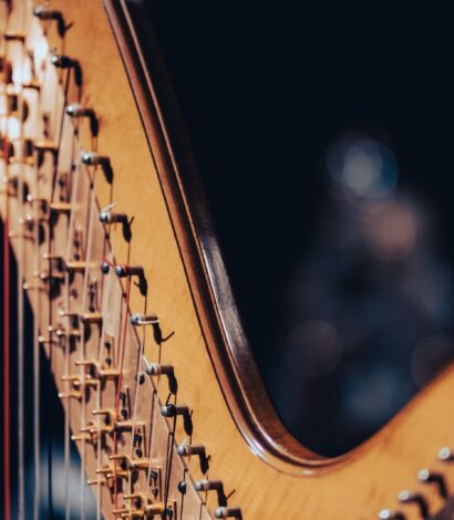 Performance On The Harp