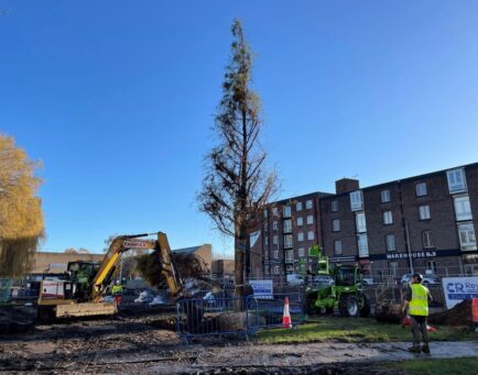 Planting for the future at Queens Gardens