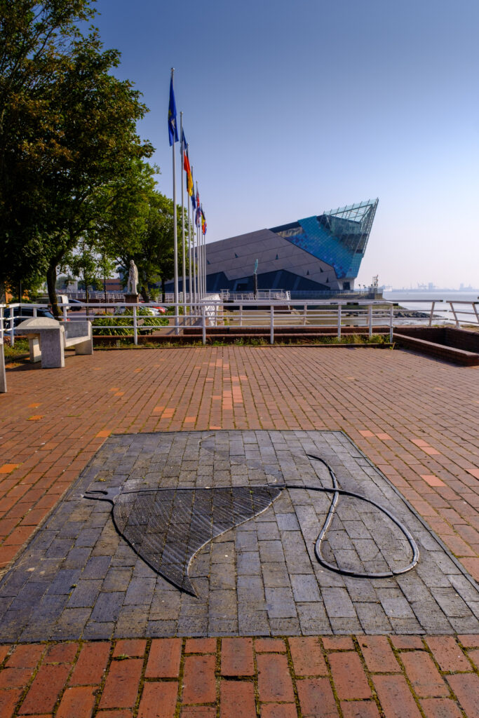 pavement sculpture of a ray which is part of the fish trail in front of The Deep a large modern triangular shaped building 