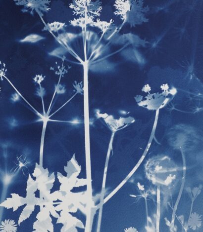 Cyanotype Workshop