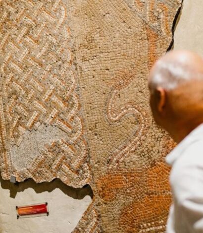 Guided Tour Of Hull and East Riding Museum of Archaeology