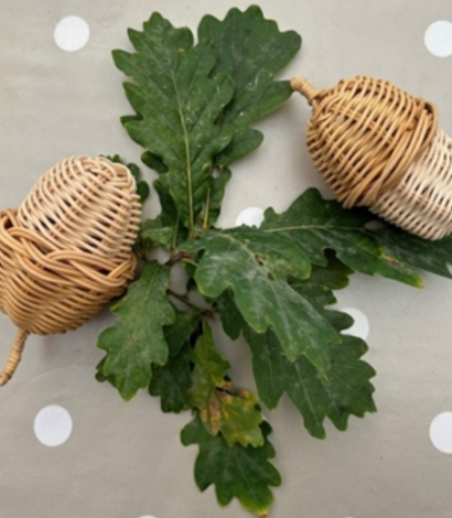 Willow Cane Acorns Workshop