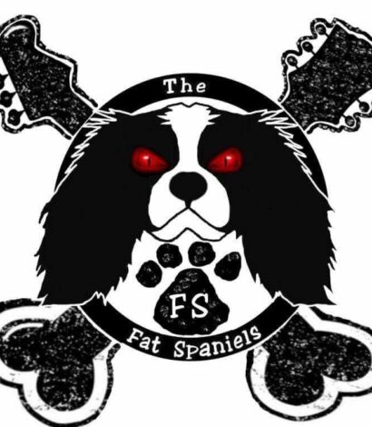 The Fat Spaniels – Hull Rock Nights at Service Station