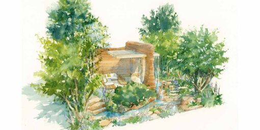 🌿 The Songbird Survival Garden Takes Flight – From Chelsea to Hull!