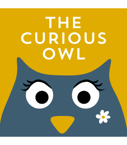 The Curious Owl