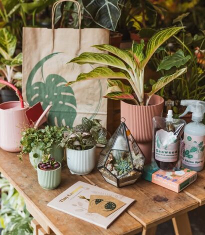 Monthly Plant Swap – November