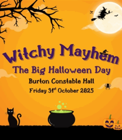 Witchy Mayhem