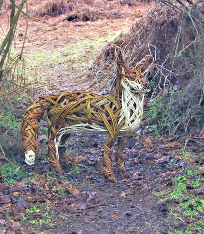 Willow Weaving Fox Workshop