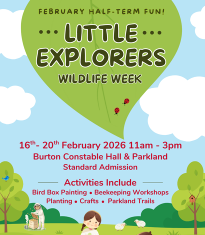 Little Explorers: Wildlife Week